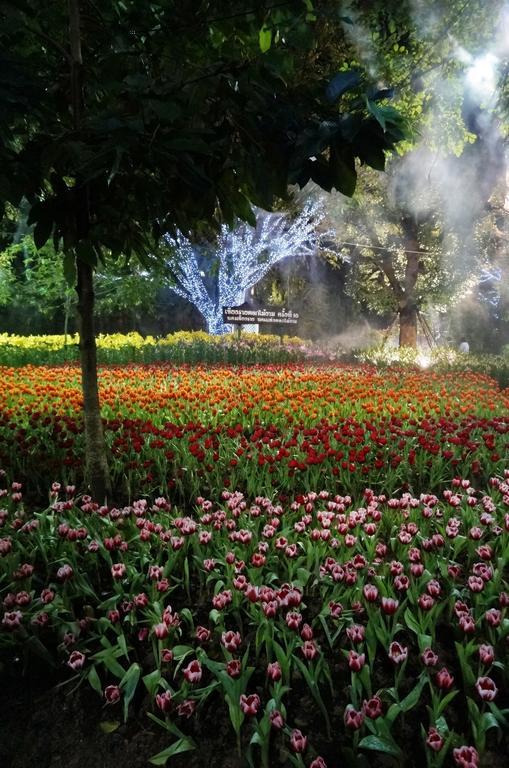 Sabai Chiang Rai Hotel Luaran gambar